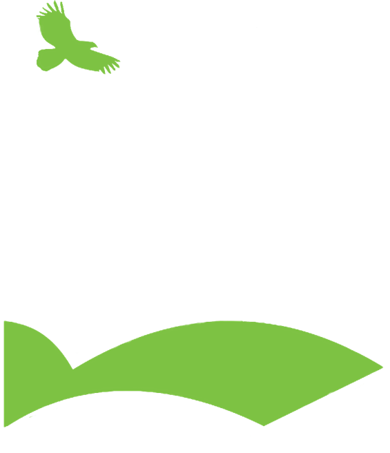 Soaring Eagle Academy