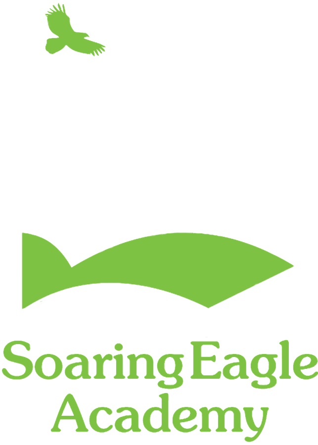 Soaring Eagle Academy